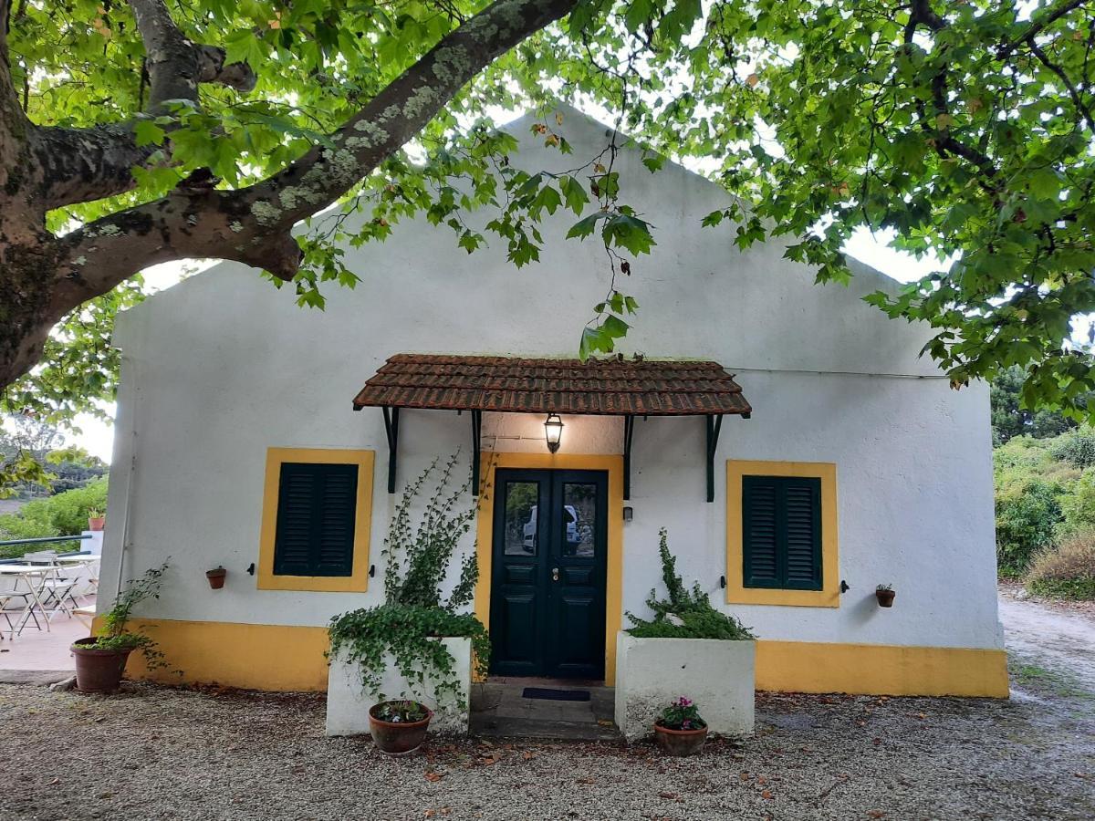 Montejunto Villas - Casa do Plátano Cadaval Exterior foto