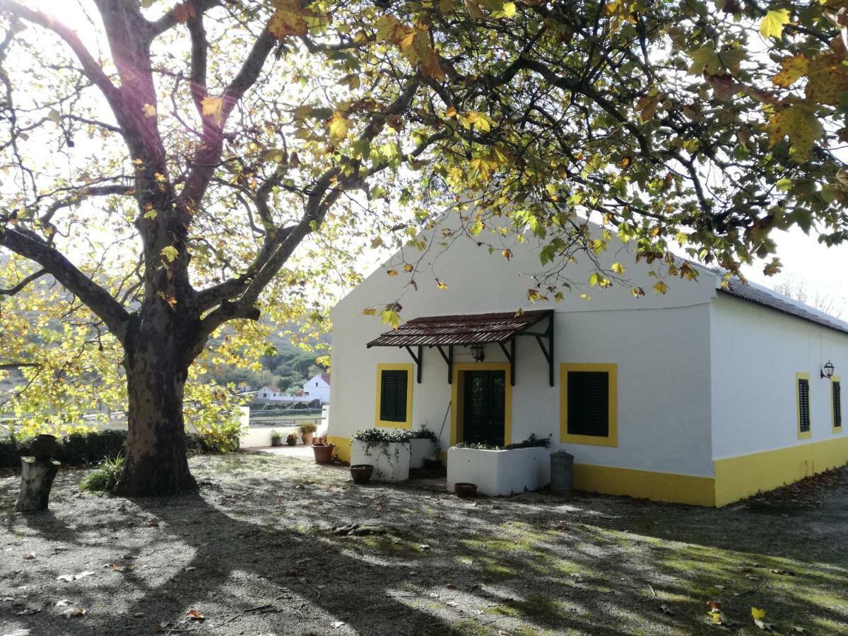 Montejunto Villas - Casa do Plátano Cadaval Exterior foto