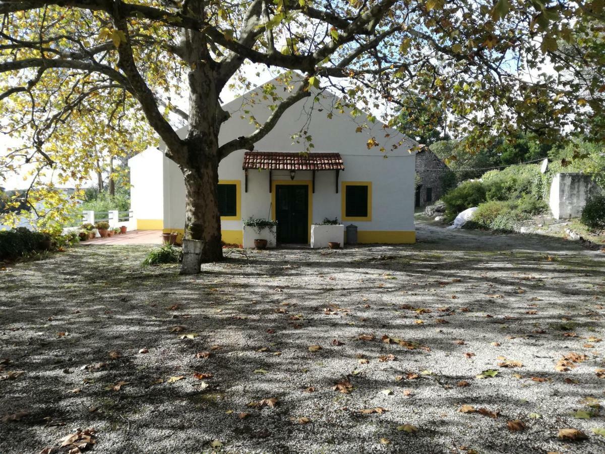 Montejunto Villas - Casa do Plátano Cadaval Exterior foto